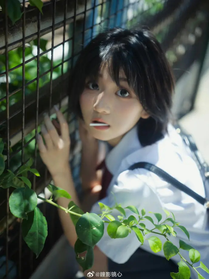 一恋永恒下载游戏截图